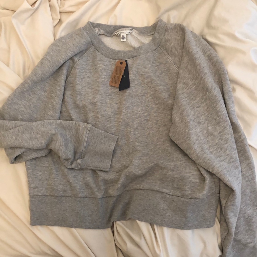 Gray American Eagle Cropped XXL Sweatshirt